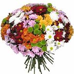 Квіти по виду