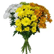 Букет із 13 хризантем