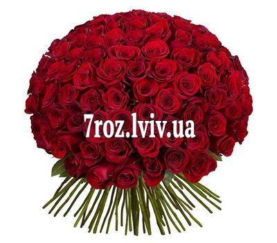 101 імпортна троянда
