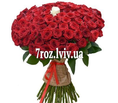 100 троянд з однією білою трояндою