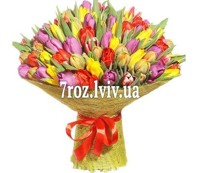 201 тюльпан