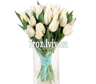 25 білих тюльпанів