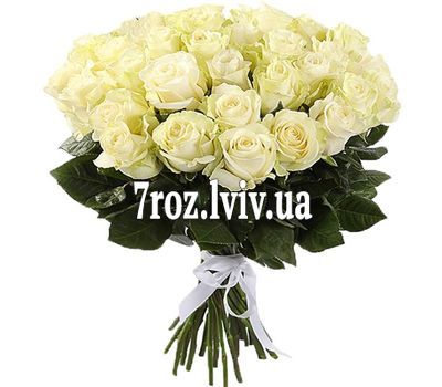 31 біла імпортна троянда
