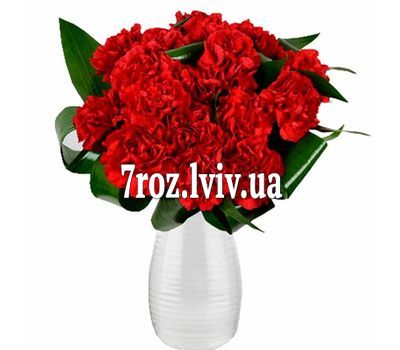 Букет гвоздик дівчині
