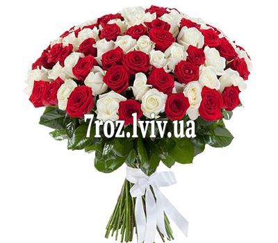 Букет із 101 червоної і білої троянди