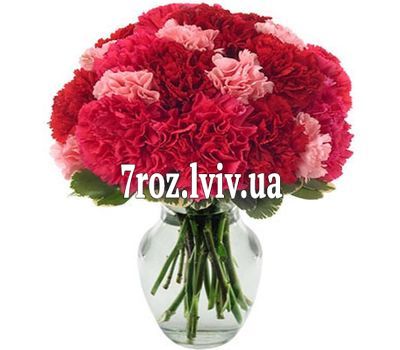 Букет із 25 гвоздик