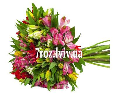 Букет із 25 альстромерій