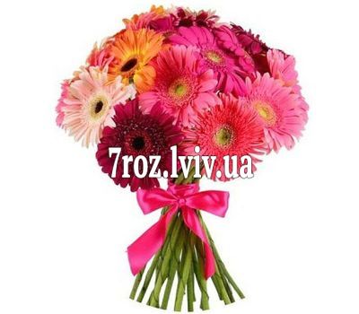 Букет із 17 різнокольорових гербер