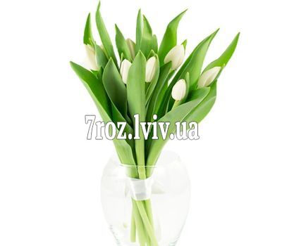 Невеликий букет білих тюльпанів
