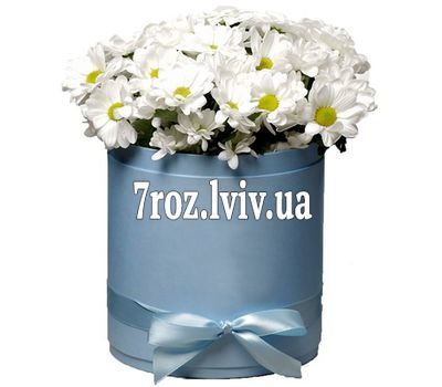Коробка з ромашками