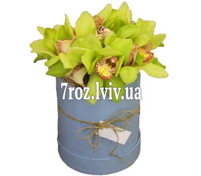 Зелені орхідеї в коробці