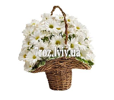 Кошик квітів із 7 ромашкових хризантем