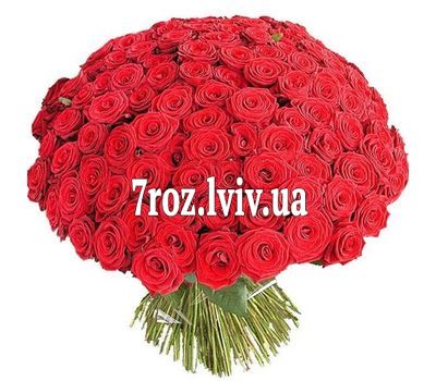Букет із 251 червоної троянди