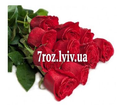 Букет із 11 метрових імпортних троянд