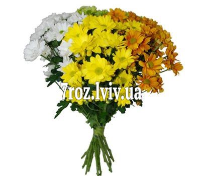 Букет із 13 хризантем