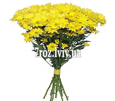 Букет із 7 хризантем