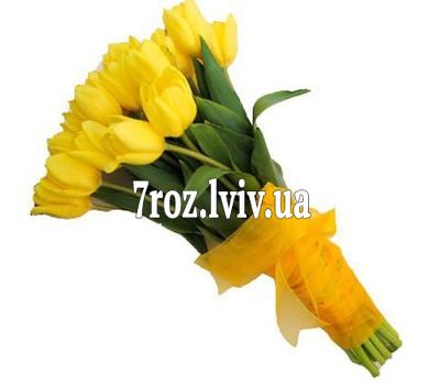 Букет із 29 тюльпанів