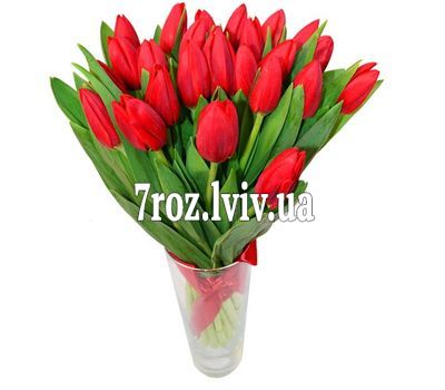 Букет із 23 червоних тюльпанів
