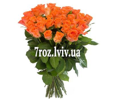 Букет із 35 троянд