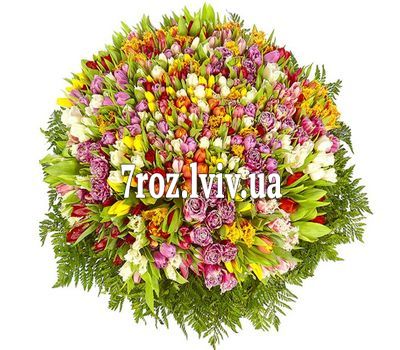 1001, тюльпан