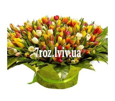 Букет із 501 тюльпана