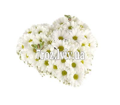 Серце з 11 хризантем
