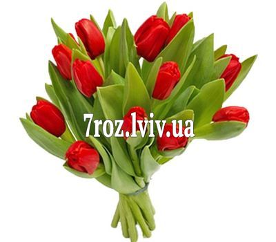 Букет із 15 червоних тюльпанів