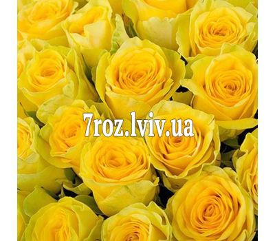 Жовті троянди поштучно