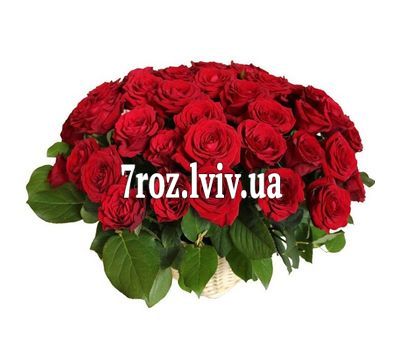 Кошик із 55 червоних троянд